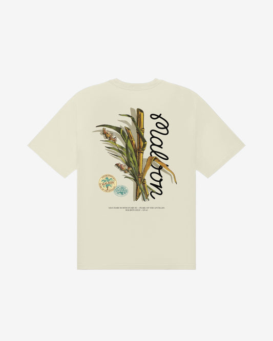 Bermuda Origin Tee - Cream Malbon Men